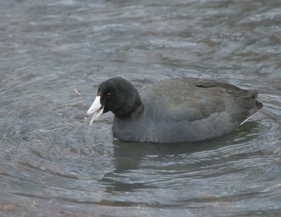 IMG_3535_2.jpg