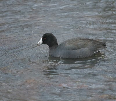 IMG_3539_2.jpg