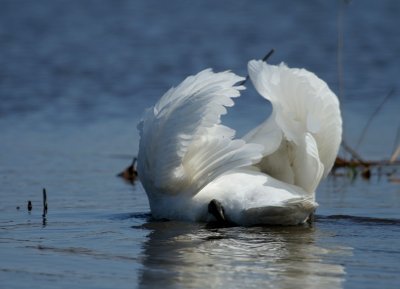 IMG_6785_2.jpg