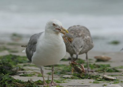 IMG_4811_2.jpg