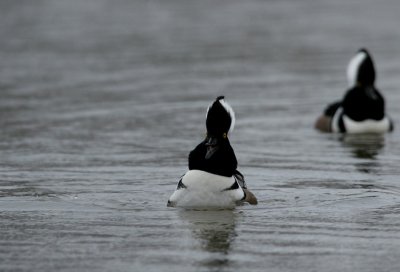 IMG_0221_2.jpg