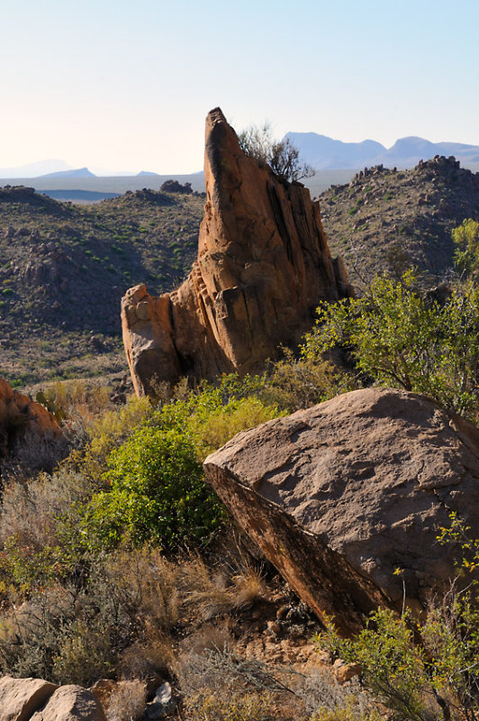 Grapevine Hills