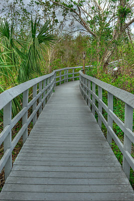 Boardwalk