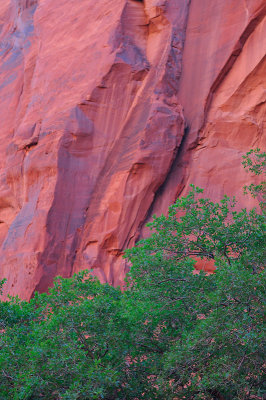 Red Rock Wall