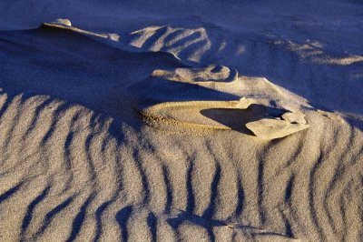 Ripples