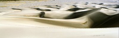 The Southern Edge of the Dunes
