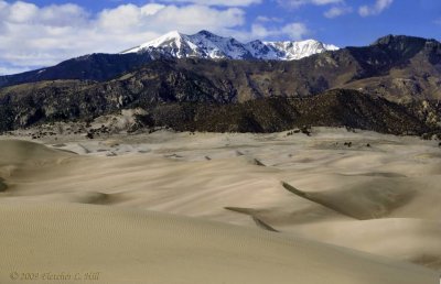 The Dune Field