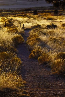 The Dunes Trail