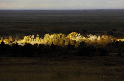 A Sliver of Morning