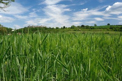 Monteriggioni