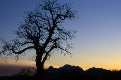 San Pellegrino in Alpe (Appennino)