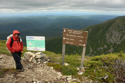 Mont Matawees
