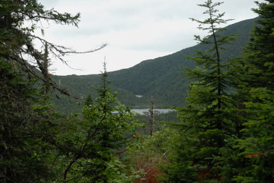 g1/17/603317/3/128121303.dz65a2lx.jpg