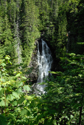 Chutes