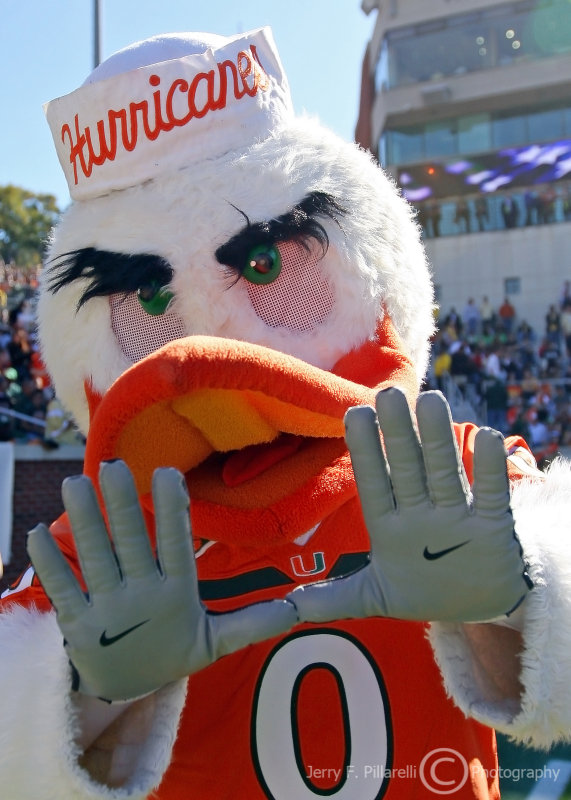 The miami hurricanes (known informally as the u, um, or the 'canes) are the intercollegiate varsity sports teams that represent the university of miami, located in the coral gables suburb of miami, florida. Miami Hurricanes Mascot . Miami Hurricanes Mascot Sebastian The Ibis Flashes The U Sign Photo Jerry Pillarelli Photos At Pbase Com