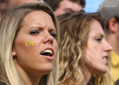 Georgia Tech Yellow Jackets fans