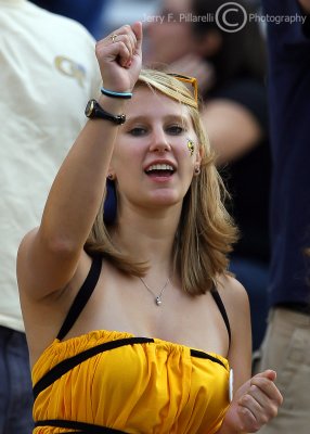 GT Yellow Jackets fan