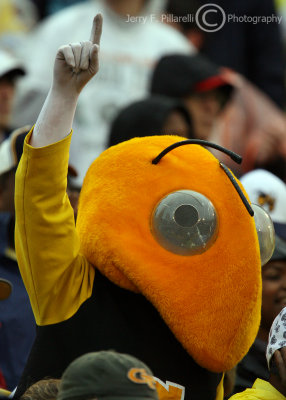 Yellow Jackets Mascot Buzz salutes the team from the crowd