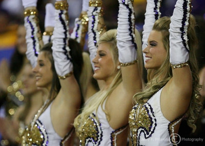 LSU Tigers Golden Girls