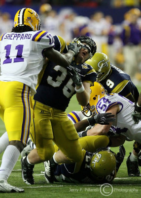 Yellow Jackets RB Cox is hammered by Tigers LB Kelvin Sheppard as he attempts to block for QB Nesbitt