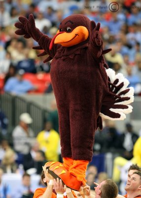 Virginia Tech Hokies Mascot HokieBird is hoisted aloft by the Cheerleading squad