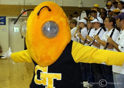 Georgia Tech Yellow Jackets Mascot Buzz at courtside for the UGA match