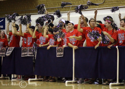 Georgia Bulldogs fans cheer for their team during the match with Georgia Tech