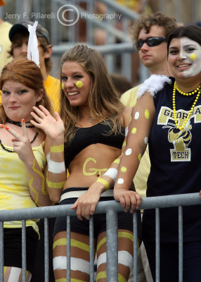 Yellow Jackets fans show their spirit from the upper deck