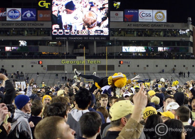 Georgia Tech mascot Buzz does some post game crowd surfing