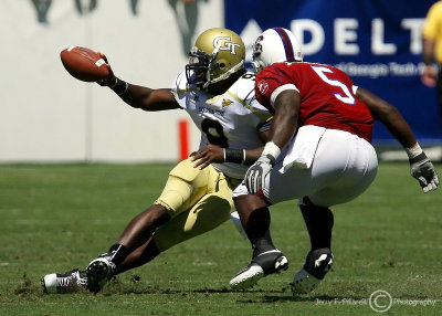 Jackets QB Joshua Nesbitt pitches out as South Carolina State LB Marshal McFadden closes in