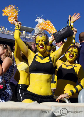 Georgia Tech fans celebrate a score