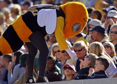 Georgia Tech Mascot Buzz entertains a young fan