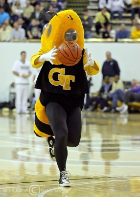 Georgia Tech Mascot Buzz pulls down a loose ball during a timeout