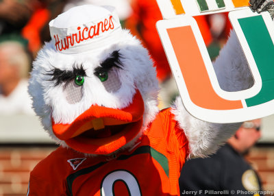 Hurricanes Mascot Sebastian the Ibis works the sidelines 