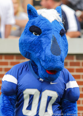 Middle Tennessee State Mascot Lightening on the sidelines