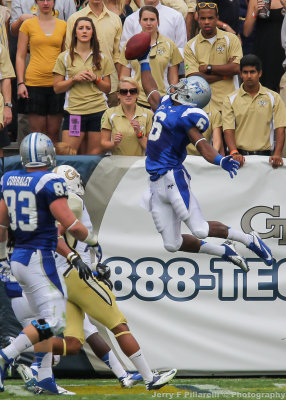 Blue Raiders WR Anthony Amos makes a leaping one handed grab for a touchdown