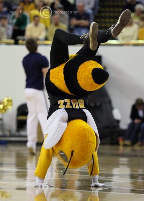 Georgia Tech mascot Buzz shows his athletic ability