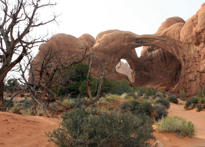 Double Arch