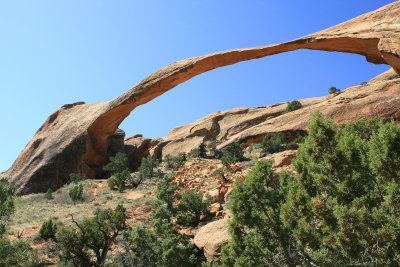 Landscape Arch  over 100 yards long