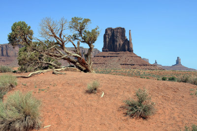 West Mitten, The King on his Throne and Castle Butte