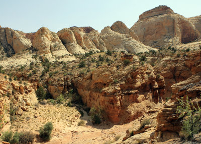 Domes along the Capitol Gorge
