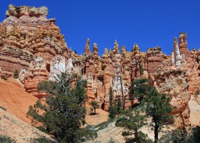 Bryce Canyon Hoodoos near Wall Street along the Navajo Loop Trail