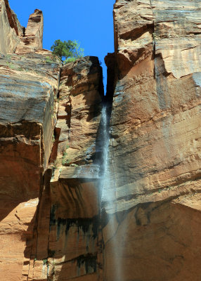 A ribbon of a waterfall on the Emerald Pools Trail