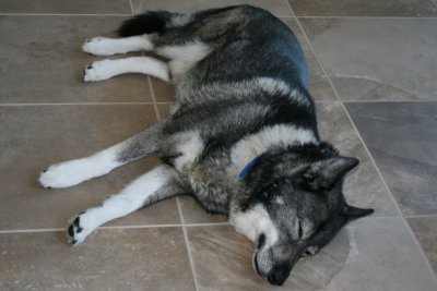 Aug 2009 after a walk - passed out on the cool tile floor