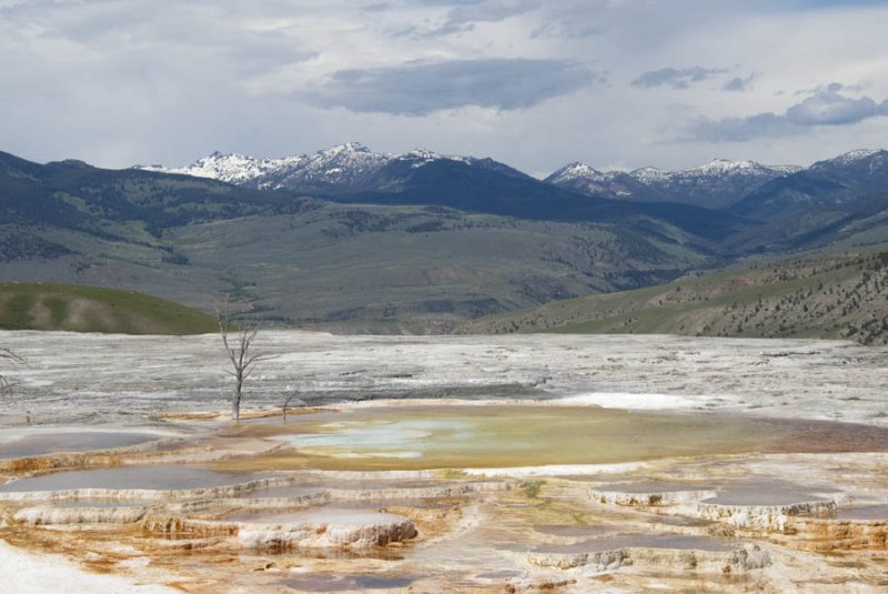 Mammoth Hot Springs