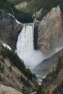 Lower Falls - Yellowstone River