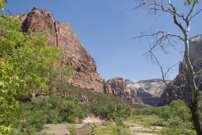 Zion National Park