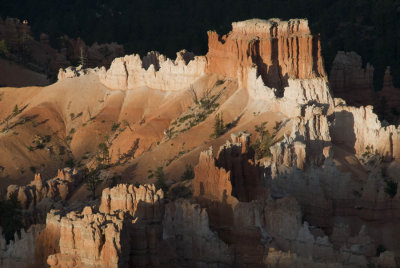 Bryce Canyon N.P.