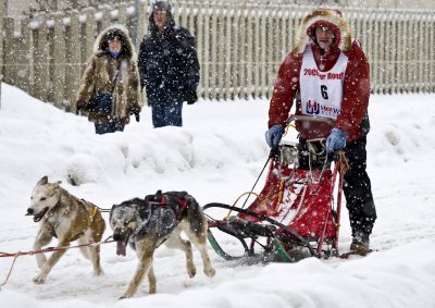 Rondy Sled Dog Race