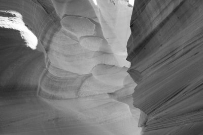 IMG_6963bw.jpg